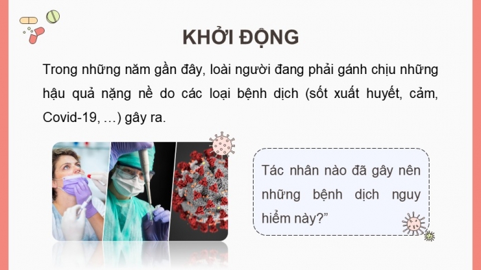 Giáo án điện tử chuyên đề Sinh học 11 chân trời Bài 6: Một số bệnh dịch phổ biến ở người