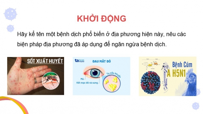 Giáo án điện tử chuyên đề Sinh học 11 chân trời Bài 9: Dự án Điều tra một số bệnh dịch phổ biến ở người và tuyên truyền phòng chống