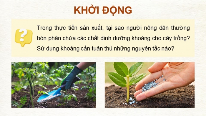 Giáo án điện tử chuyên đề Sinh học 11 cánh diều Bài 1: Nguyên tắc sử dụng khoáng tăng năng suất cây trồng