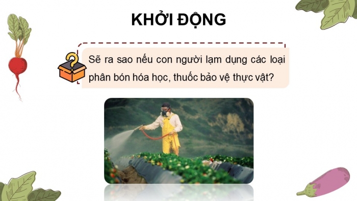 Giáo án điện tử chuyên đề Sinh học 11 cánh diều Bài 2: Nông nghiệp sạch