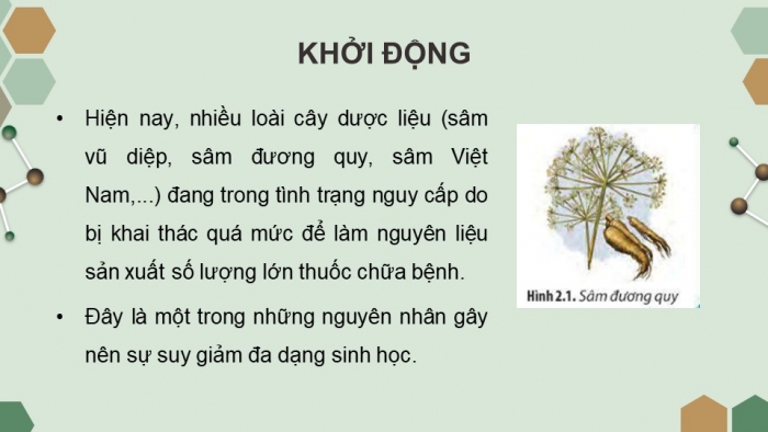 Giáo án powerpoint chuyên đề Sinh học 10 chân trời sáng tạo