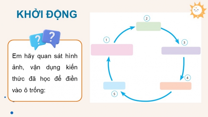 Giáo án điện tử chuyên đề Sinh học 11 cánh diều Ôn tập CĐ 2