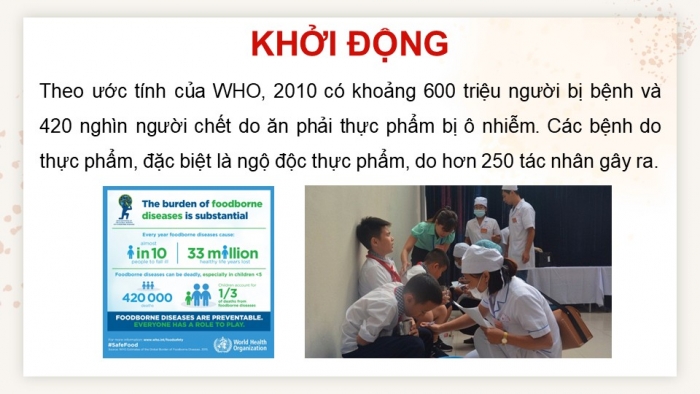 Giáo án điện tử chuyên đề Sinh học 11 cánh diều Bài 8: Vệ sinh an toàn thực phẩm và nguyên nhân gây ngộ độc thực phẩm