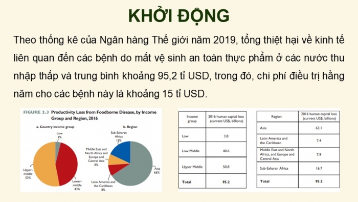 Giáo án điện tử chuyên đề Sinh học 11 cánh diều Bài 9: Tác hại của mất vệ sinh an toàn thực phẩm. Cách phòng và điều trị ngộ độc thực phẩm