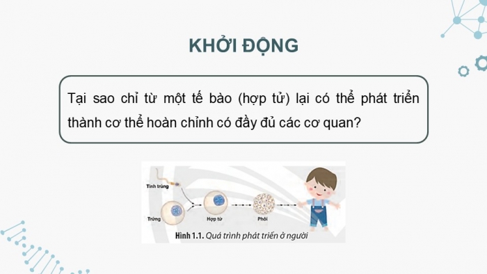 Giáo án điện tử chuyên đề Sinh học 10 chân trời Bài 1: Khái quát về công nghệ tế bào