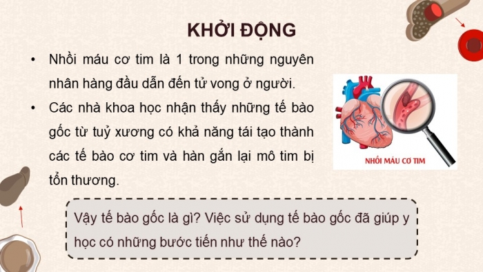 Giáo án điện tử chuyên đề Sinh học 10 chân trời Bài 4: Tế bào gốc và công nghệ tế bào gốc