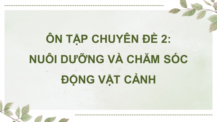Giáo án điện tử chuyên đề Công nghệ chăn nuôi 11 cánh diều Ôn tập CĐ 2