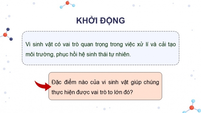 Giáo án điện tử chuyên đề Sinh học 10 chân trời Bài 10: Vai trò của vi sinh vật trong xử lí ô nhiễm môi trường