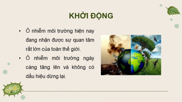 Giáo án điện tử chuyên đề Sinh học 10 chân trời Bài 11: Vi sinh vật trong phân huỷ các hợp chất