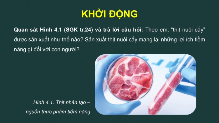 Giáo án điện tử chuyên đề Sinh học 10 cánh diều Bài 4: Cơ sở công nghệ tế bào động vật và ứng dụng