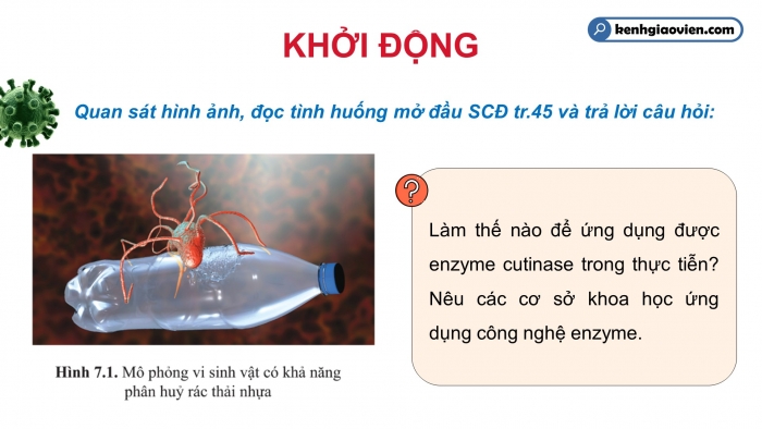 Giáo án điện tử chuyên đề Sinh học 10 cánh diều Bài 7: Cơ sở khoa học và một số thành tựu của công nghệ enzyme