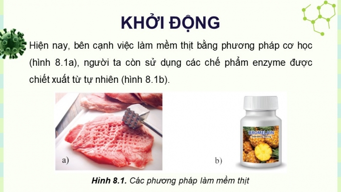 Giáo án điện tử chuyên đề Sinh học 10 cánh diều Bài 8: Sản xuất enzyme tự nhiên