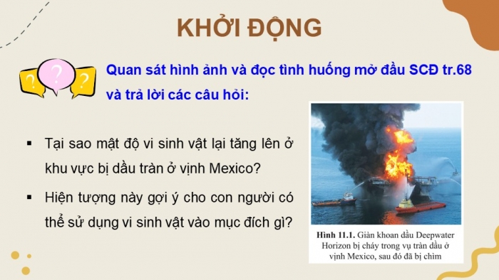 Giáo án điện tử chuyên đề Sinh học 10 cánh diều Bài 11: Khái quát về vi sinh vật trong xử lí ô nhiễm môi trường