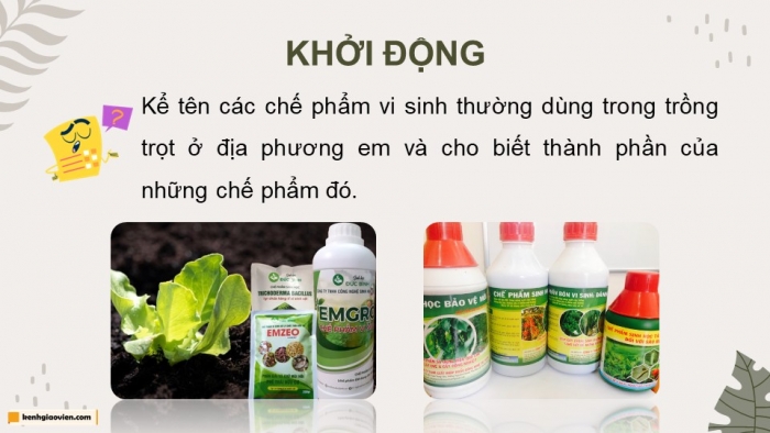 Giáo án điện tử chuyên đề Công nghệ trồng trọt 10 cánh diều Bài 4: Ứng dụng công nghệ sinh học trong sản xuất chế phẩm sinh học