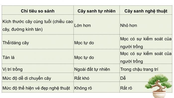 Giáo án điện tử chuyên đề Công nghệ trồng trọt 10 cánh diều Bài 8: Kĩ thuật trồng, chăm sóc và tạo hình cây sanh