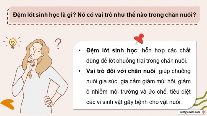 Giáo án điện tử chuyên đề Công nghệ chăn nuôi 11 kết nối Bài 5: Ứng dụng công nghệ sinh học trong sản xuất đệm lót sinh học