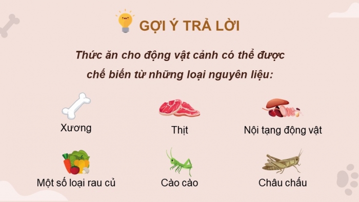 Giáo án điện tử chuyên đề Công nghệ chăn nuôi 11 kết nối Bài 10: Chế biến thức ăn cho động vật cảnh