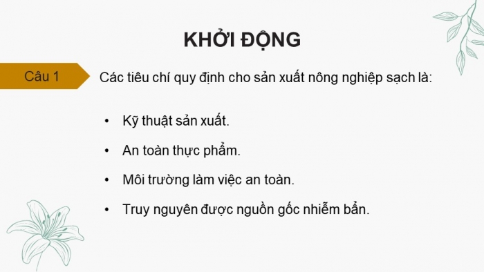 Giáo án điện tử chuyên đề Sinh học 11 chân trời Ôn tập CĐ 1