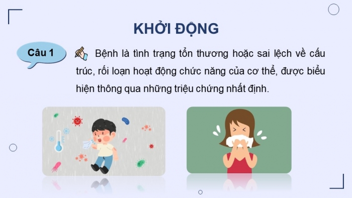 Giáo án điện tử chuyên đề Sinh học 11 chân trời Ôn tập CĐ 2