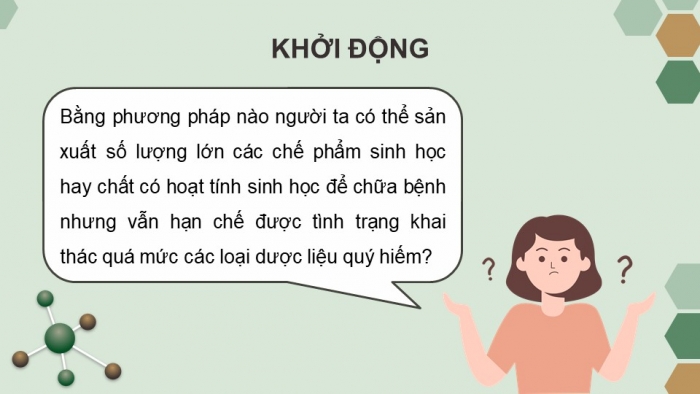 Giáo án powerpoint chuyên đề Sinh học 10 chân trời sáng tạo