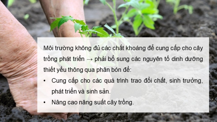 Giáo án điện tử chuyên đề Sinh học 11 cánh diều Bài 1: Nguyên tắc sử dụng khoáng tăng năng suất cây trồng