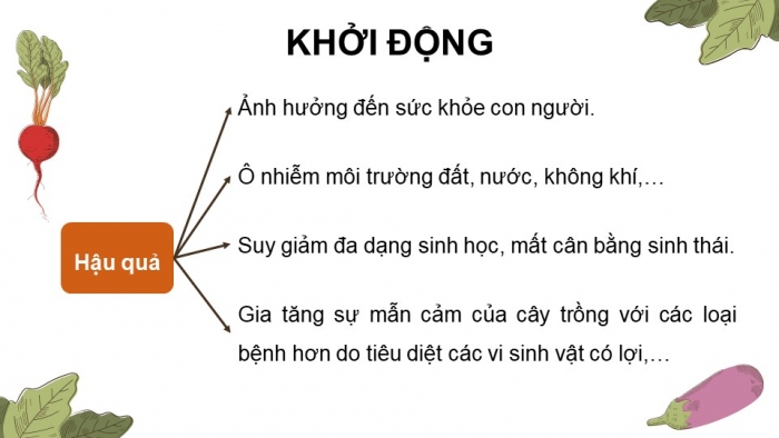 Giáo án điện tử chuyên đề Sinh học 11 cánh diều Bài 2: Nông nghiệp sạch