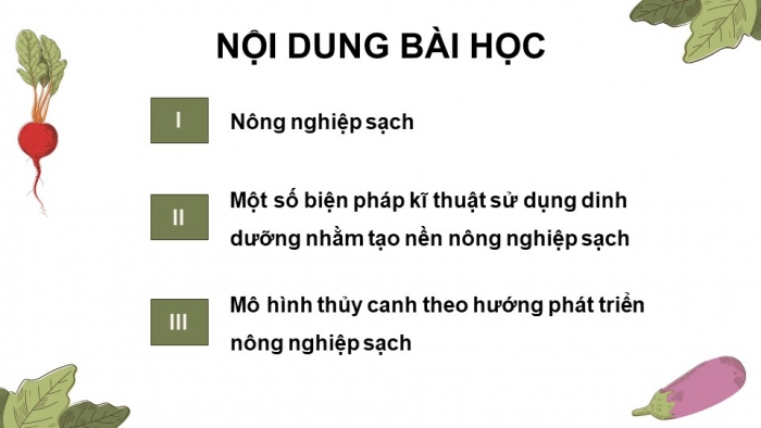 Giáo án điện tử chuyên đề Sinh học 11 cánh diều Bài 2: Nông nghiệp sạch (P2)