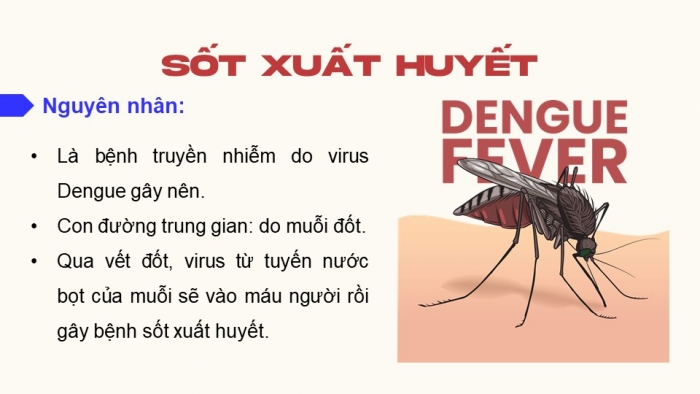 Giáo án điện tử chuyên đề Sinh học 11 cánh diều Bài 4: Bệnh dịch và tác nhân gây bệnh ở người