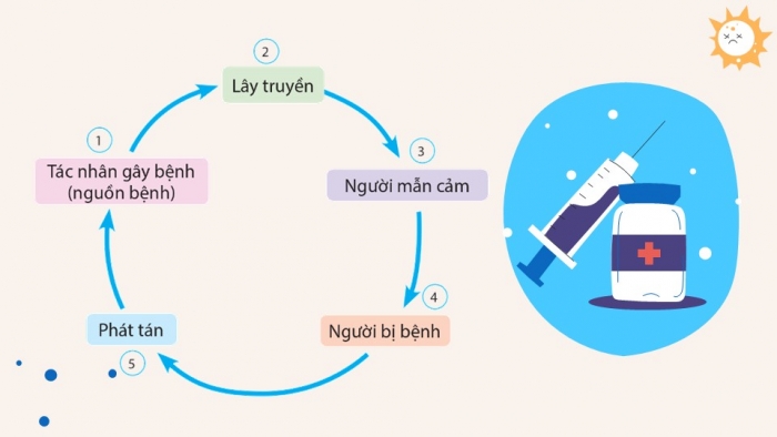 Giáo án điện tử chuyên đề Sinh học 11 cánh diều Ôn tập CĐ 2