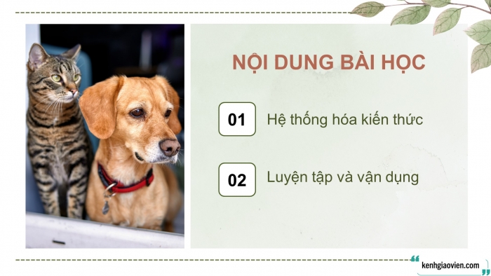 Giáo án điện tử chuyên đề Công nghệ chăn nuôi 11 cánh diều Ôn tập CĐ 2