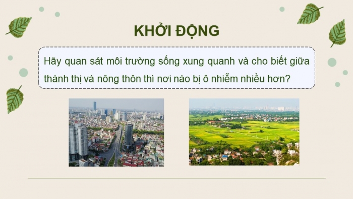 Giáo án điện tử chuyên đề Sinh học 10 chân trời Bài 11: Vi sinh vật trong phân huỷ các hợp chất