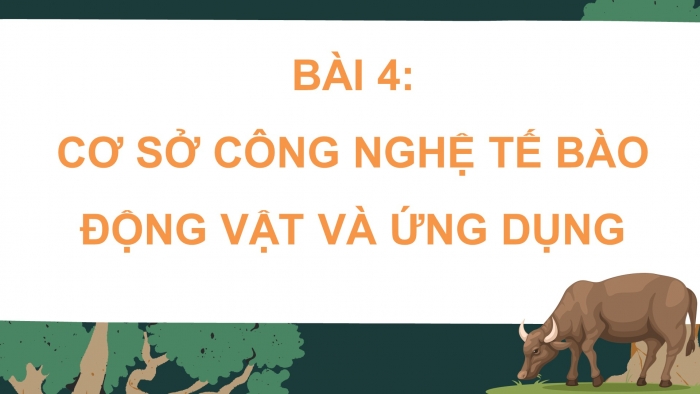 Giáo án điện tử chuyên đề Sinh học 10 cánh diều Bài 4: Cơ sở công nghệ tế bào động vật và ứng dụng