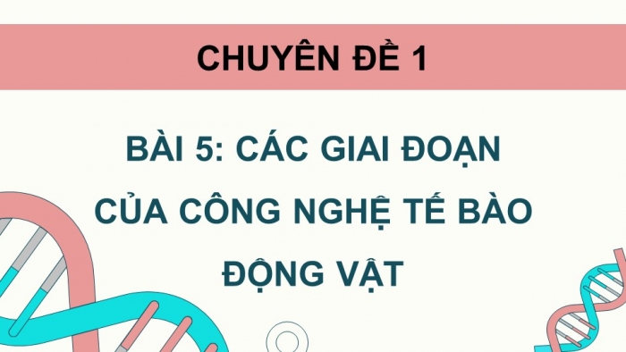 Giáo án điện tử chuyên đề Sinh học 10 cánh diều Bài 5: Các giai đoạn của công nghệ tế bào động vật