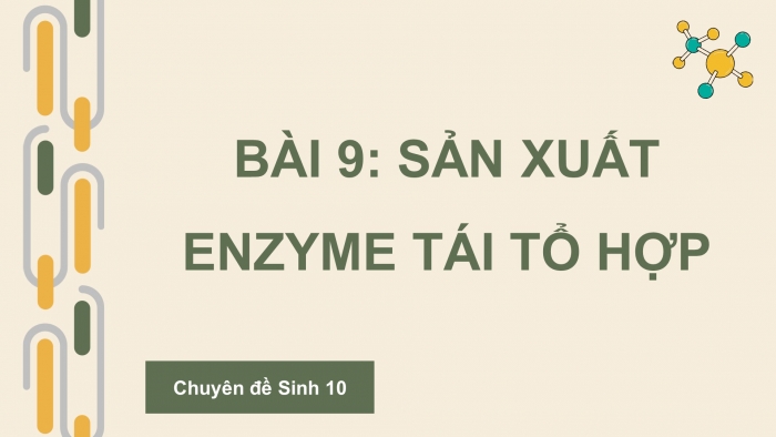 Giáo án điện tử chuyên đề Sinh học 10 cánh diều Bài 9: Sản xuất enzyme tái tổ hợp