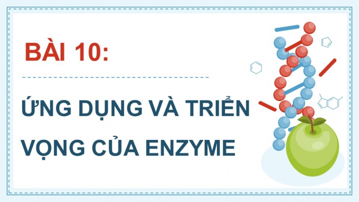 Giáo án điện tử chuyên đề Sinh học 10 cánh diều Bài 10: Ứng dụng và triển vọng của công nghệ enzyme