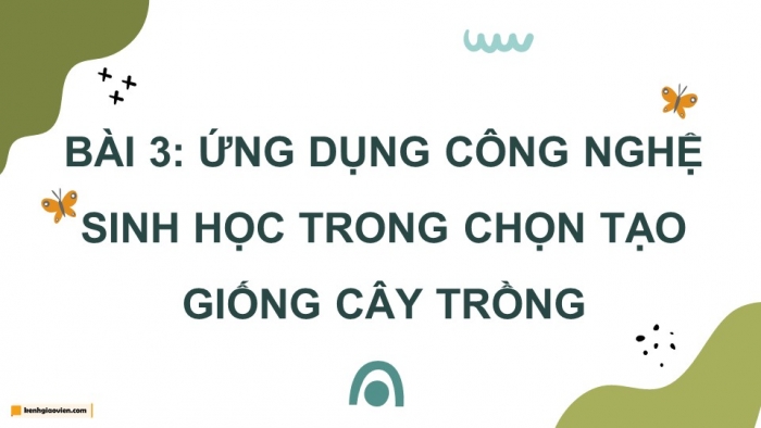 Giáo án điện tử chuyên đề Công nghệ trồng trọt 10 cánh diều Bài 3: Ứng dụng công nghệ sinh học trong chọn tạo giống cây trồng