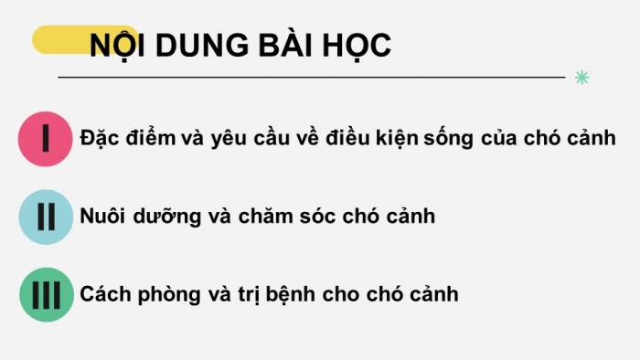 Giáo án điện tử chuyên đề Công nghệ chăn nuôi 11 kết nối Bài 7: Kĩ thuật nuôi dưỡng và chăm sóc chó cảnh