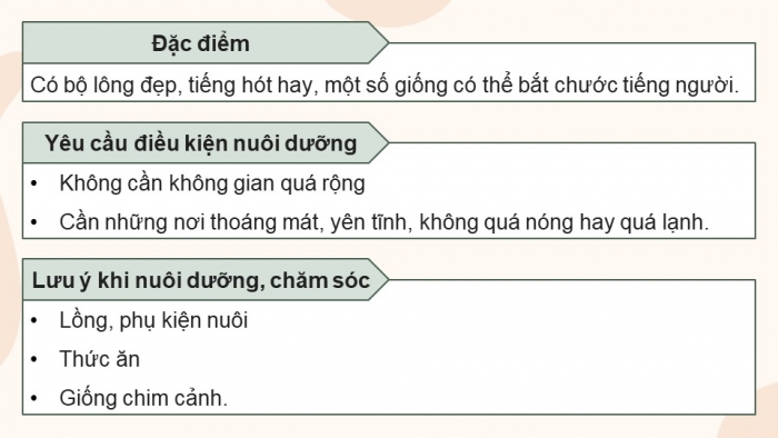 Giáo án điện tử chuyên đề Công nghệ chăn nuôi 11 kết nối Bài 9: Kĩ thuật nuôi dưỡng và chăm sóc chim cảnh