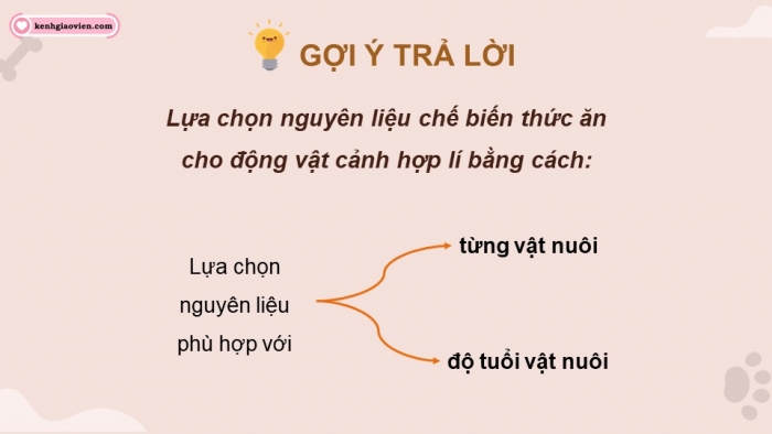 Giáo án điện tử chuyên đề Công nghệ chăn nuôi 11 kết nối Bài 10: Chế biến thức ăn cho động vật cảnh