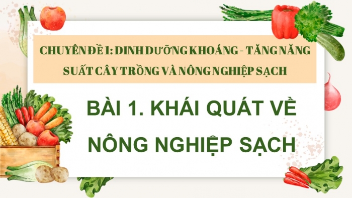 Giáo án điện tử chuyên đề Sinh học 11 chân trời Bài 1: Khái quát về nông nghiệp sạch