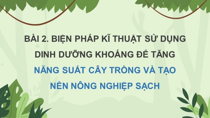 Giáo án điện tử chuyên đề Sinh học 11 chân trời Bài 2: Biện pháp kĩ thuật sử dụng dinh dưỡng khoáng để tăng năng suất cây trồng và tạo nền nông nghiệp sạch