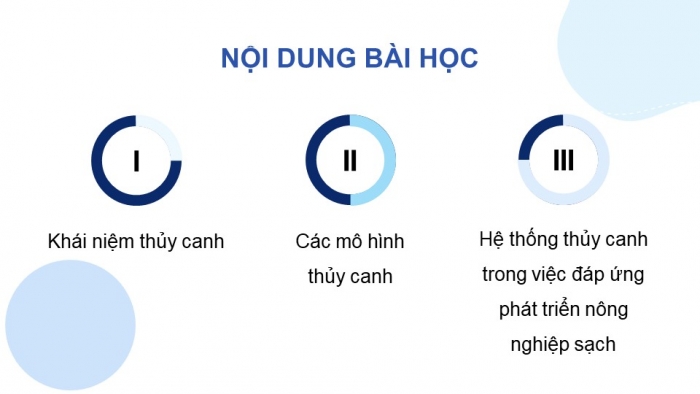 Giáo án điện tử chuyên đề Sinh học 11 chân trời Bài 3: Thuỷ canh theo hướng phát triển nông nghiệp sạch