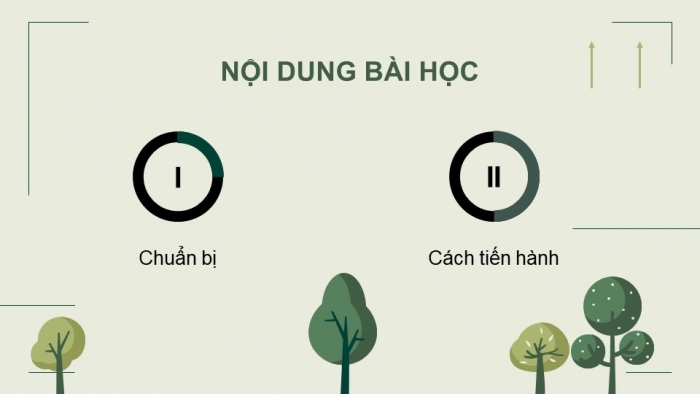 Giáo án điện tử chuyên đề Sinh học 11 chân trời Bài 4: Thực hành Chứng minh tác dụng của phân bón đối với sinh trưởng, phát triển và năng suất cây trồng