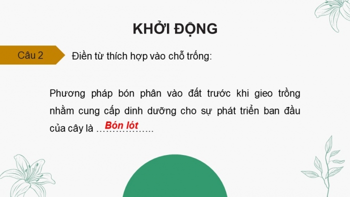 Giáo án điện tử chuyên đề Sinh học 11 chân trời Ôn tập CĐ 1