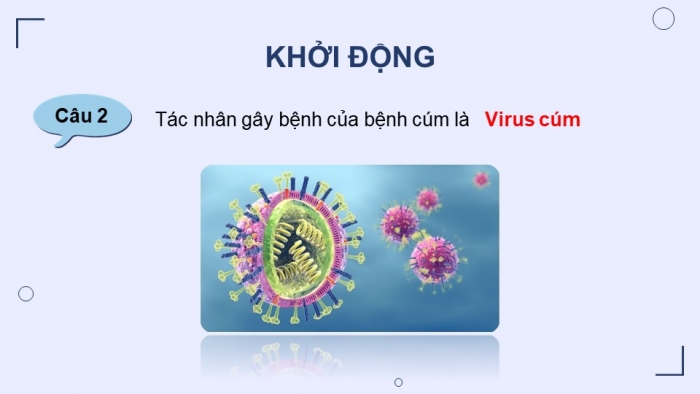 Giáo án điện tử chuyên đề Sinh học 11 chân trời Ôn tập CĐ 2