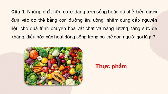 Giáo án điện tử chuyên đề Sinh học 11 chân trời Ôn tập CĐ 3