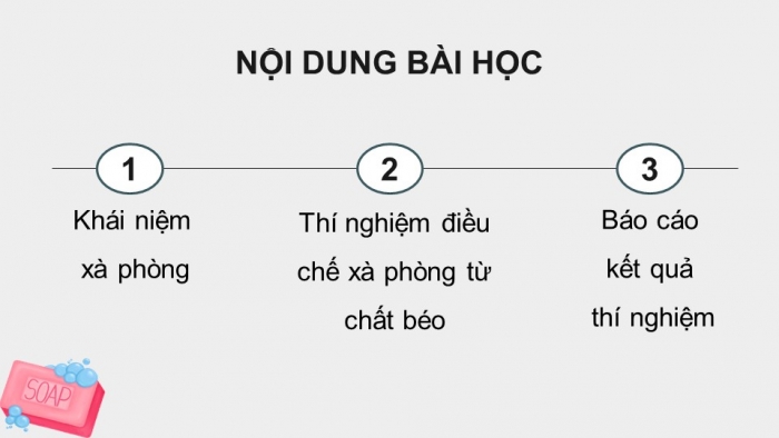 Giáo án điện tử chuyên đề Hoá học 11 cánh diều Bài 5: Chuyển hoá chất béo thành xà phòng