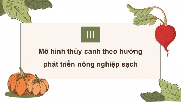 Giáo án điện tử chuyên đề Sinh học 11 cánh diều Bài 2: Nông nghiệp sạch (P2)