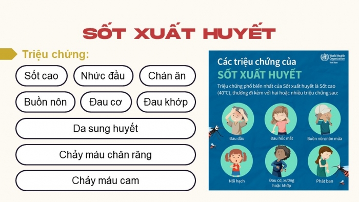 Giáo án điện tử chuyên đề Sinh học 11 cánh diều Bài 4: Bệnh dịch và tác nhân gây bệnh ở người