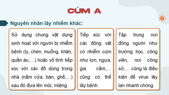 Giáo án điện tử chuyên đề Sinh học 11 cánh diều Bài 5: Nguyên nhân lây nhiễm bệnh dịch ở người